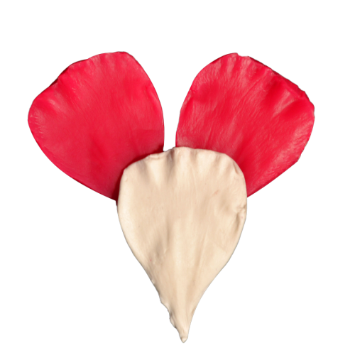 SİLİCONE MOULD  - LEAF MODEL(5,5*3,5CM )