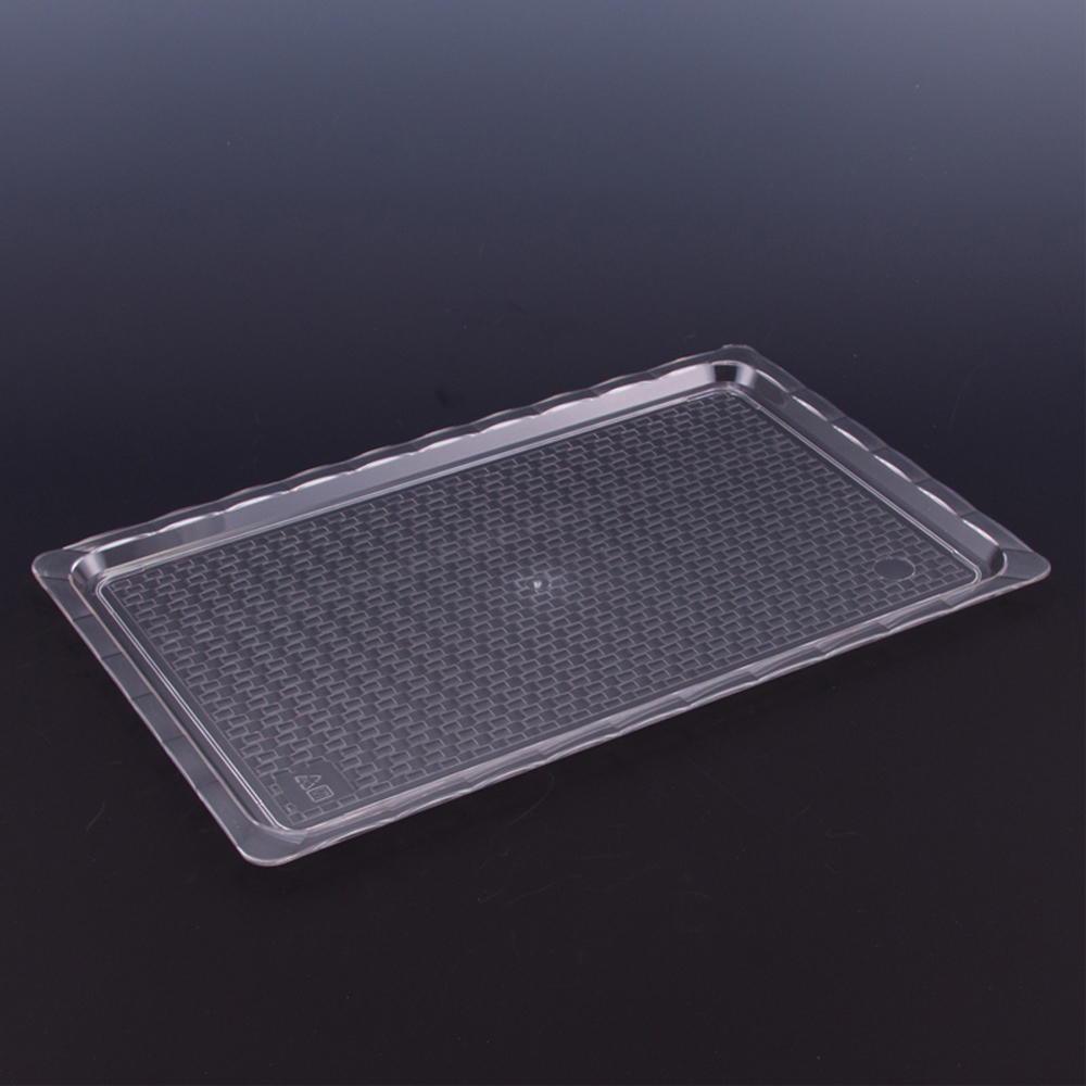 POLYCARBONATE TRANSPARENT TRAY 25 X 40 CM