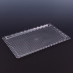 POLYCARBONATE TRANSPARENT TRAY 25 X 40 CM