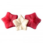 SİLİCONE MOULD - LEAF MODEL (3,5*3,5CM)