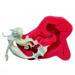SİLİCONE MOULD - FİSHGİRL (7*5,5CM)