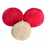 SİLİCONE MOULD  - LEAF MODEL (6*5,5CM)